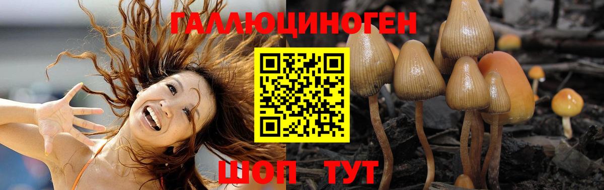 Псилоцибиновые грибы GOLDEN TEACHER Канаш